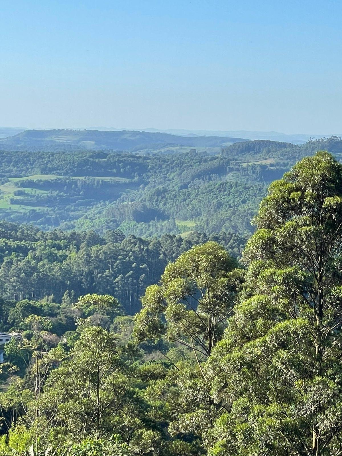 Terreno à Venda em Trevo - Chapecó - Santa Catarina